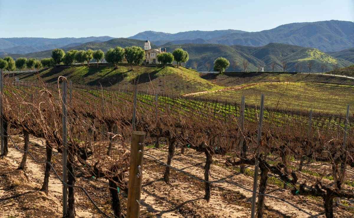 Temecula Wine Country Tour